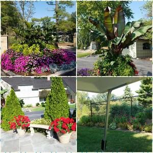 Meet your Posher, Faye